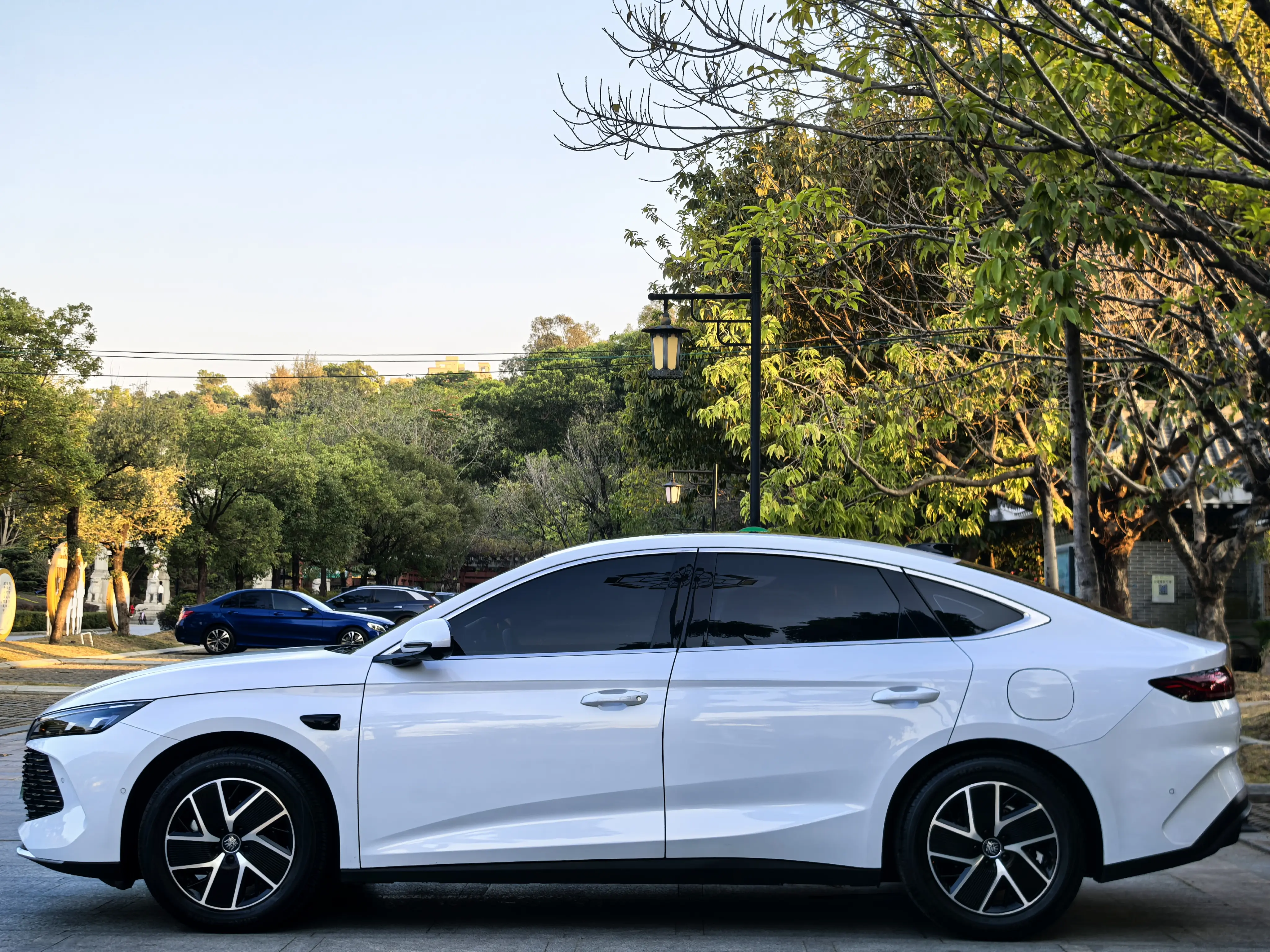 BYD Qin L DM