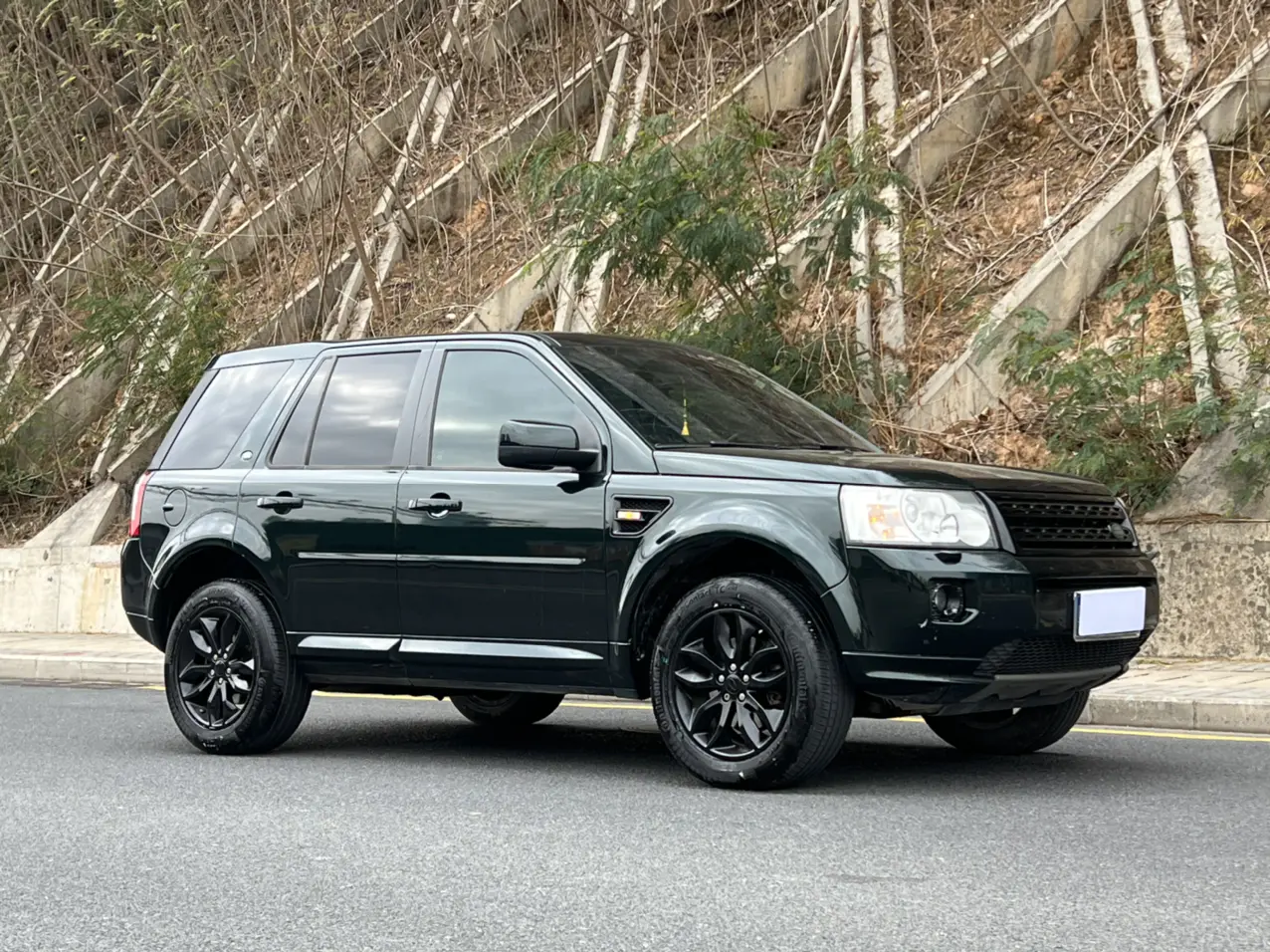 Land Rover Freelander 2  из Китая