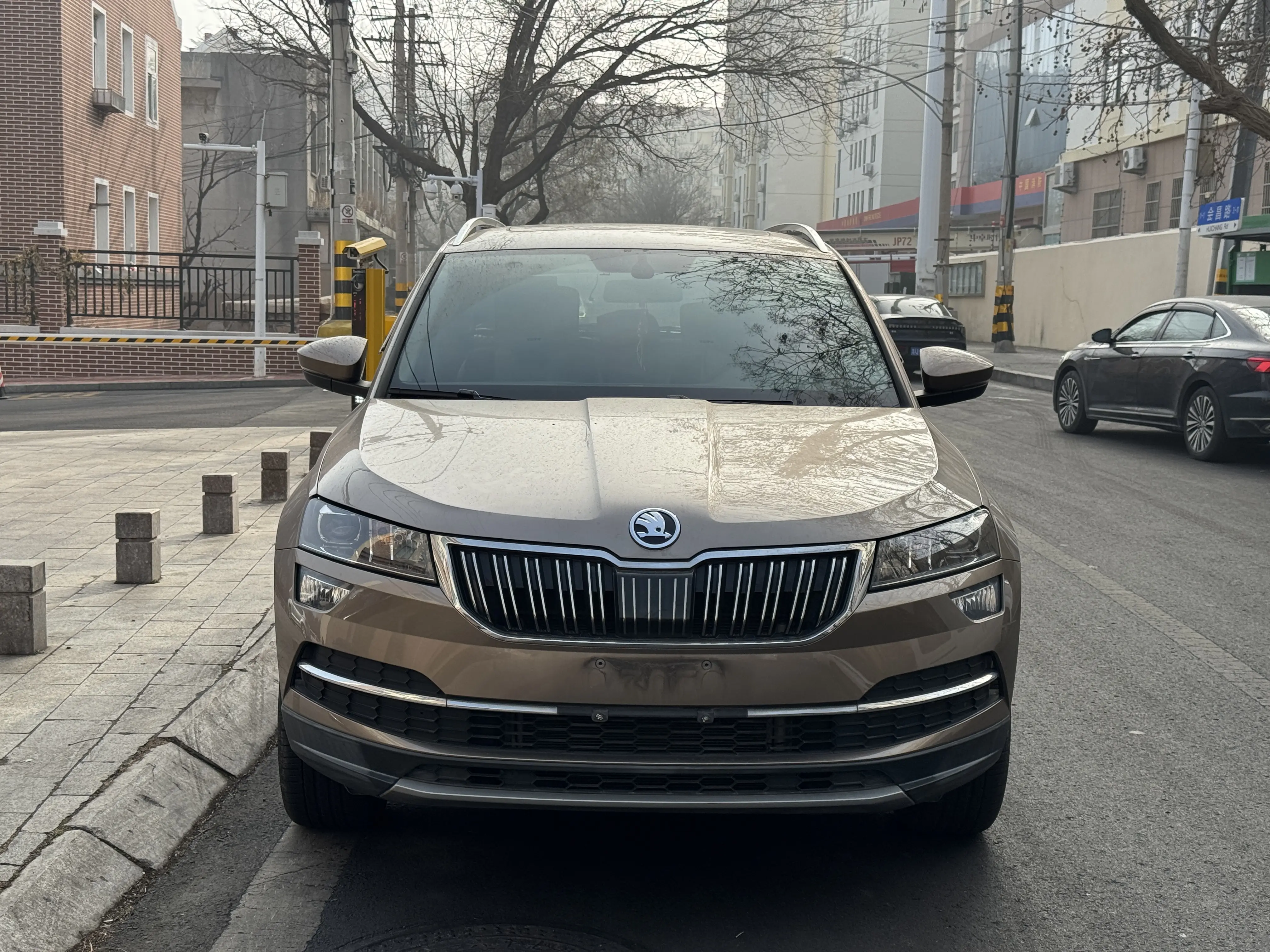 Skoda Karoq  из Китая