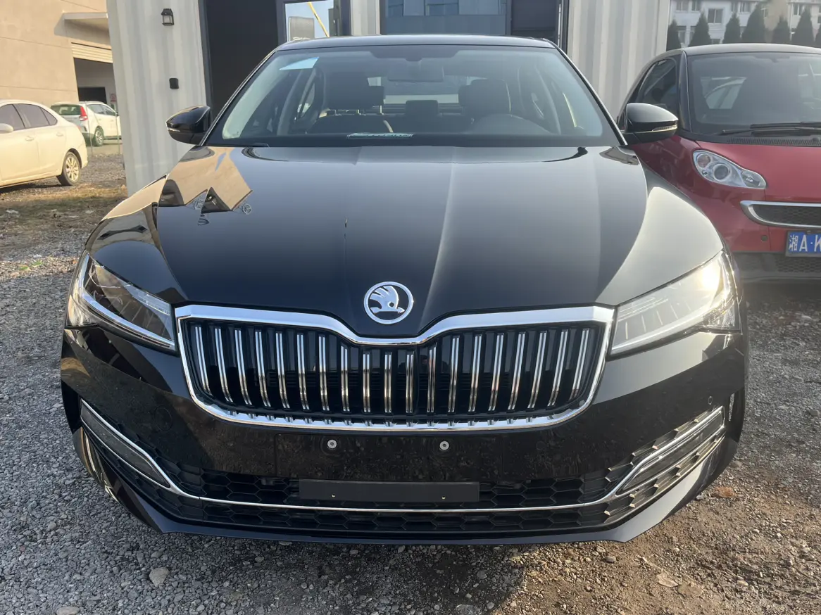 Skoda Speedy  из Китая