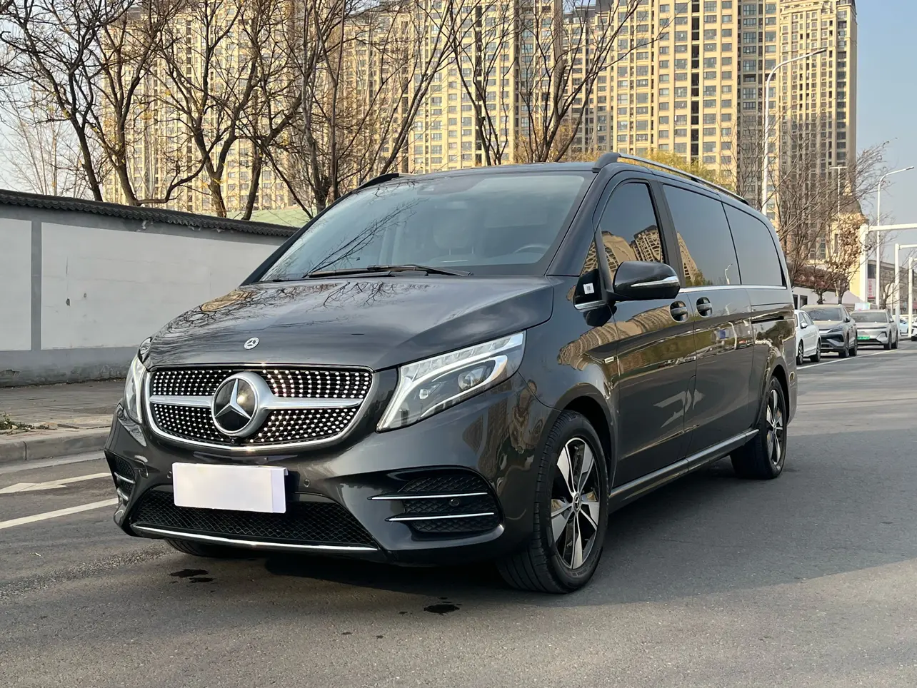 Mercedes-Benz Mercedes Benz V Class  из Китая