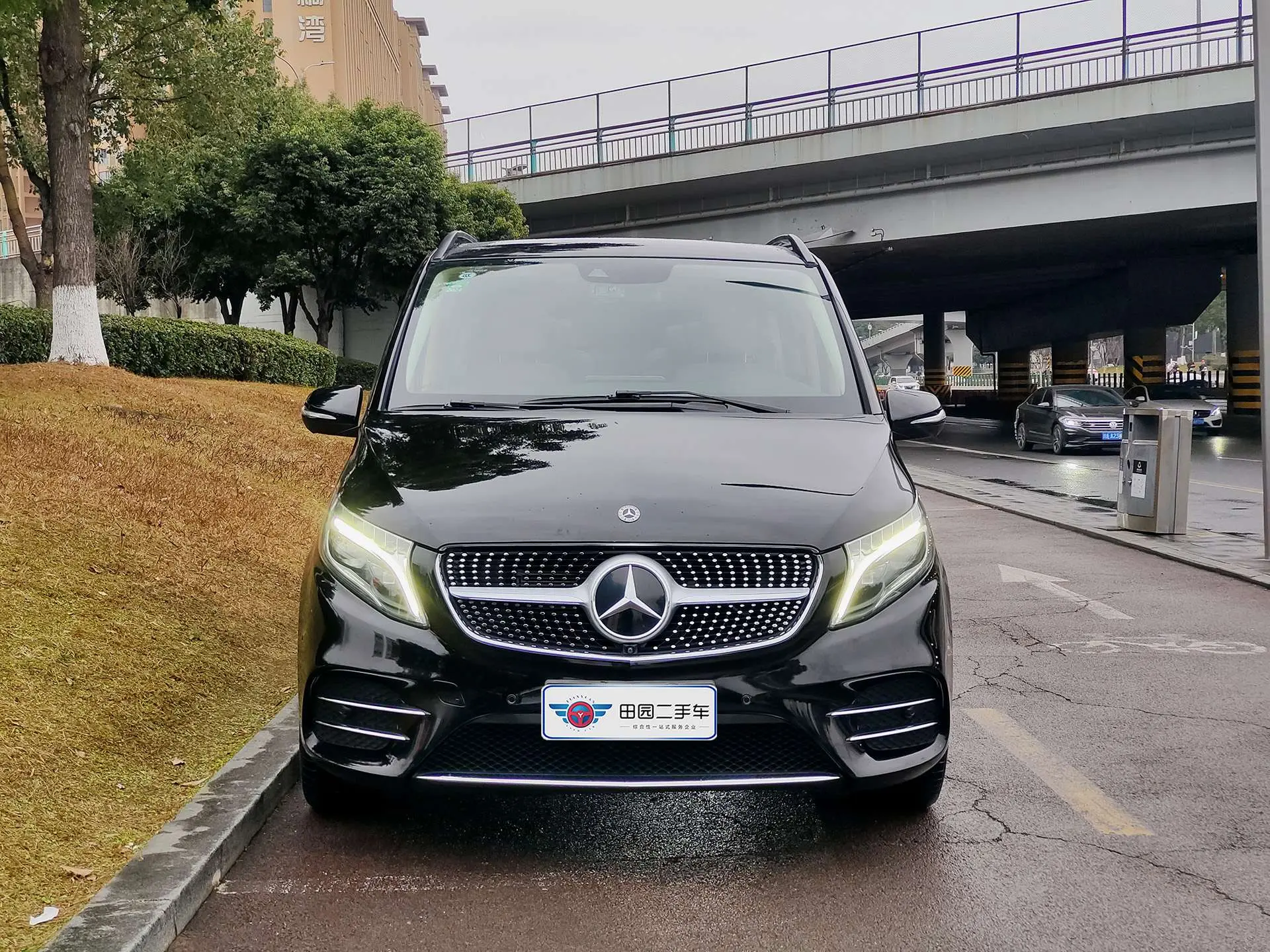 Mercedes-Benz Mercedes Benz V Class  из Китая