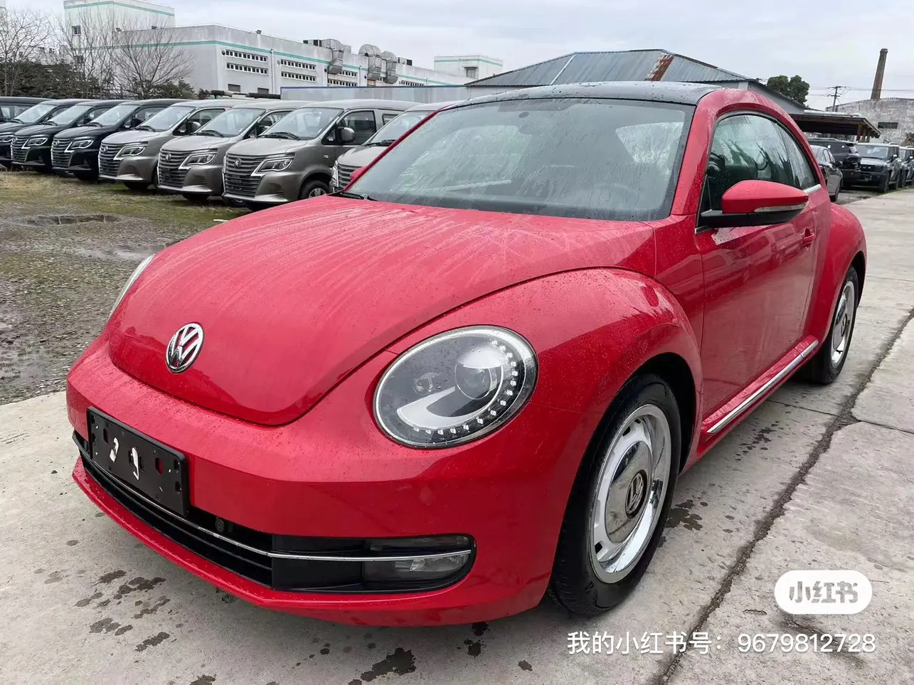 Volkswagen Beetle  из Китая