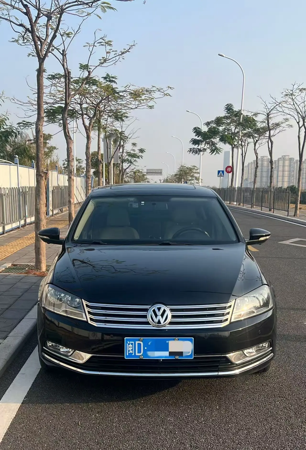 Volkswagen Magotan  из Китая