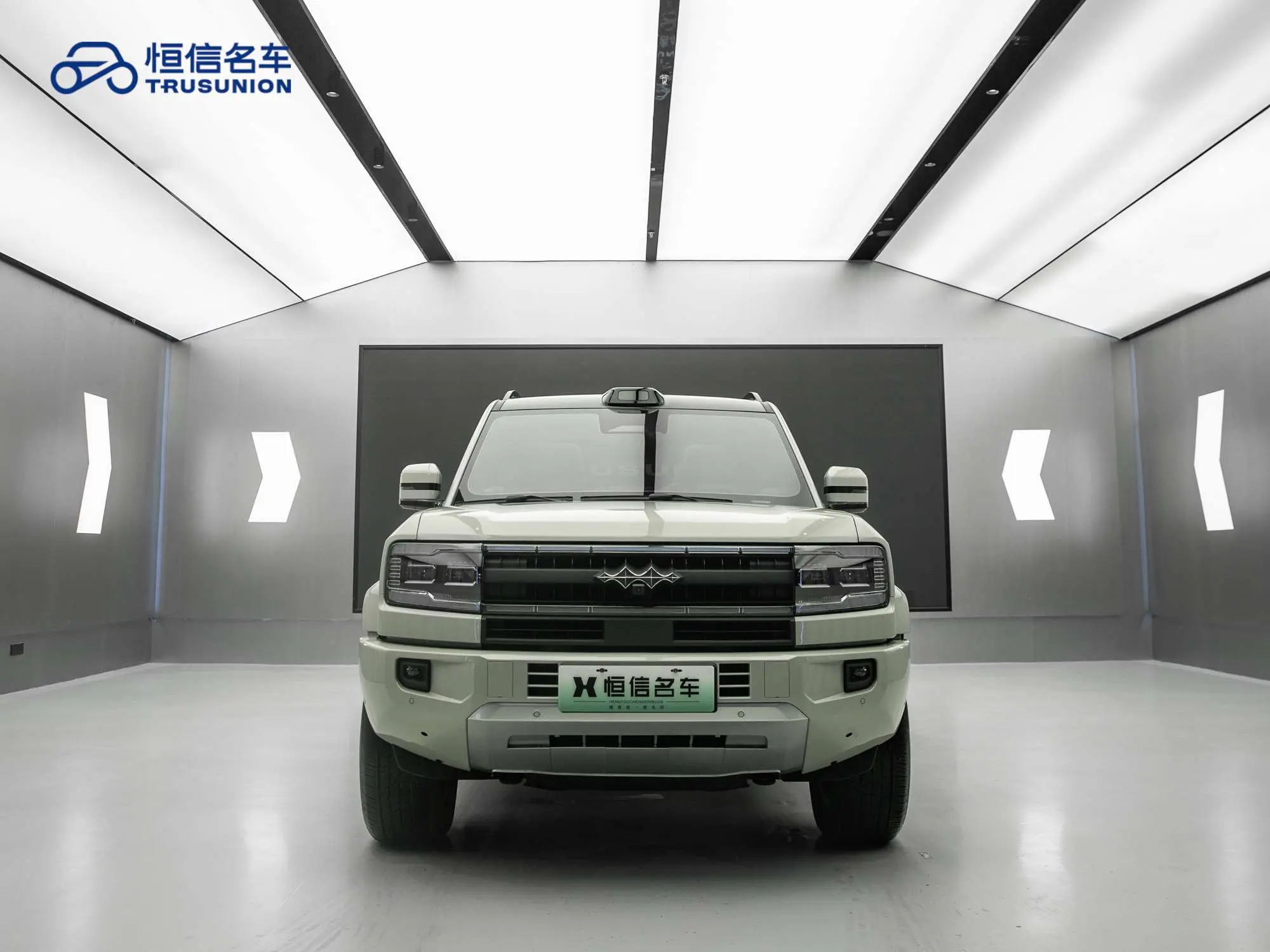 BYD Leopard Leopard 5  из Китая