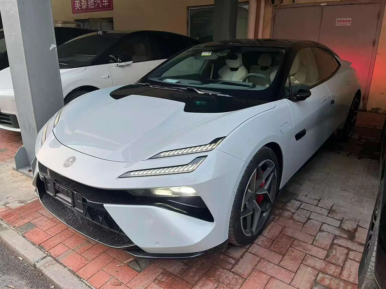 Lotus Emeya  из Китая