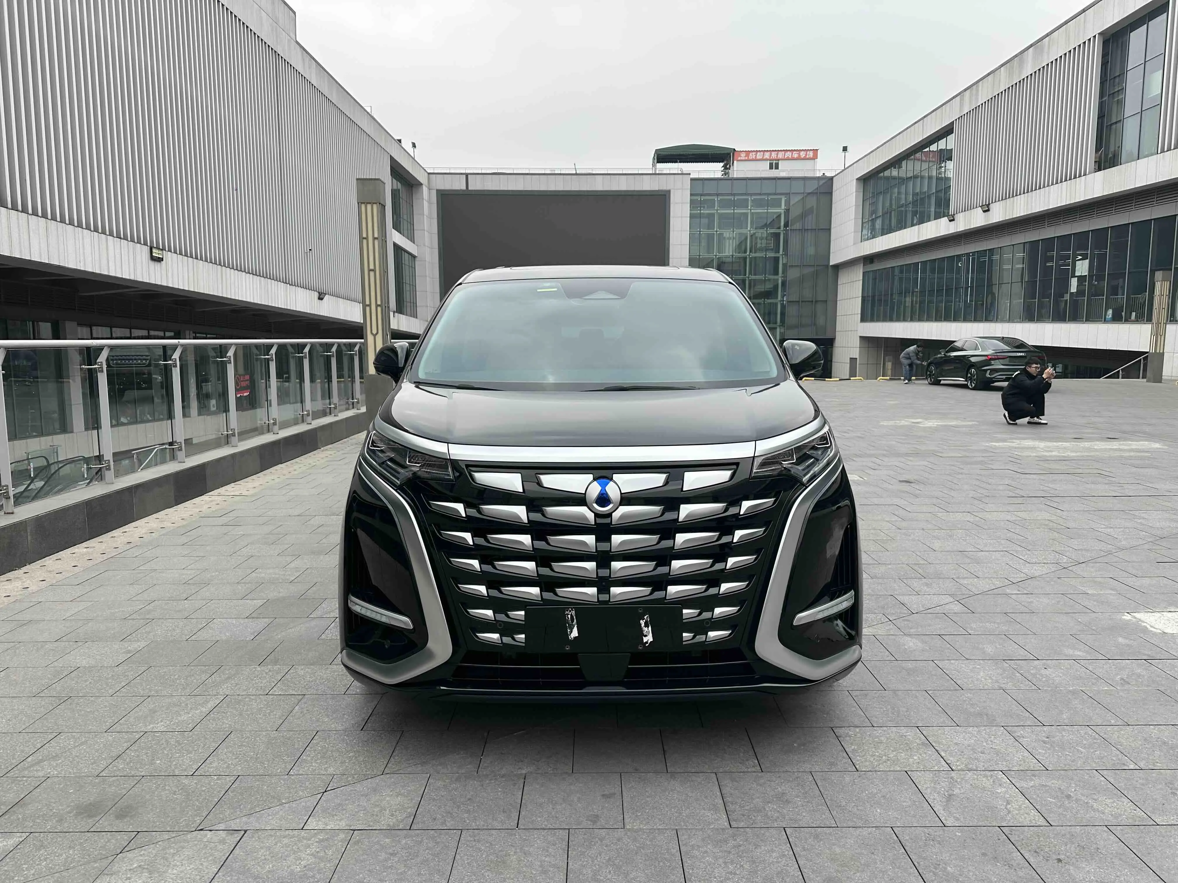 Denza D9 DM  из Китая