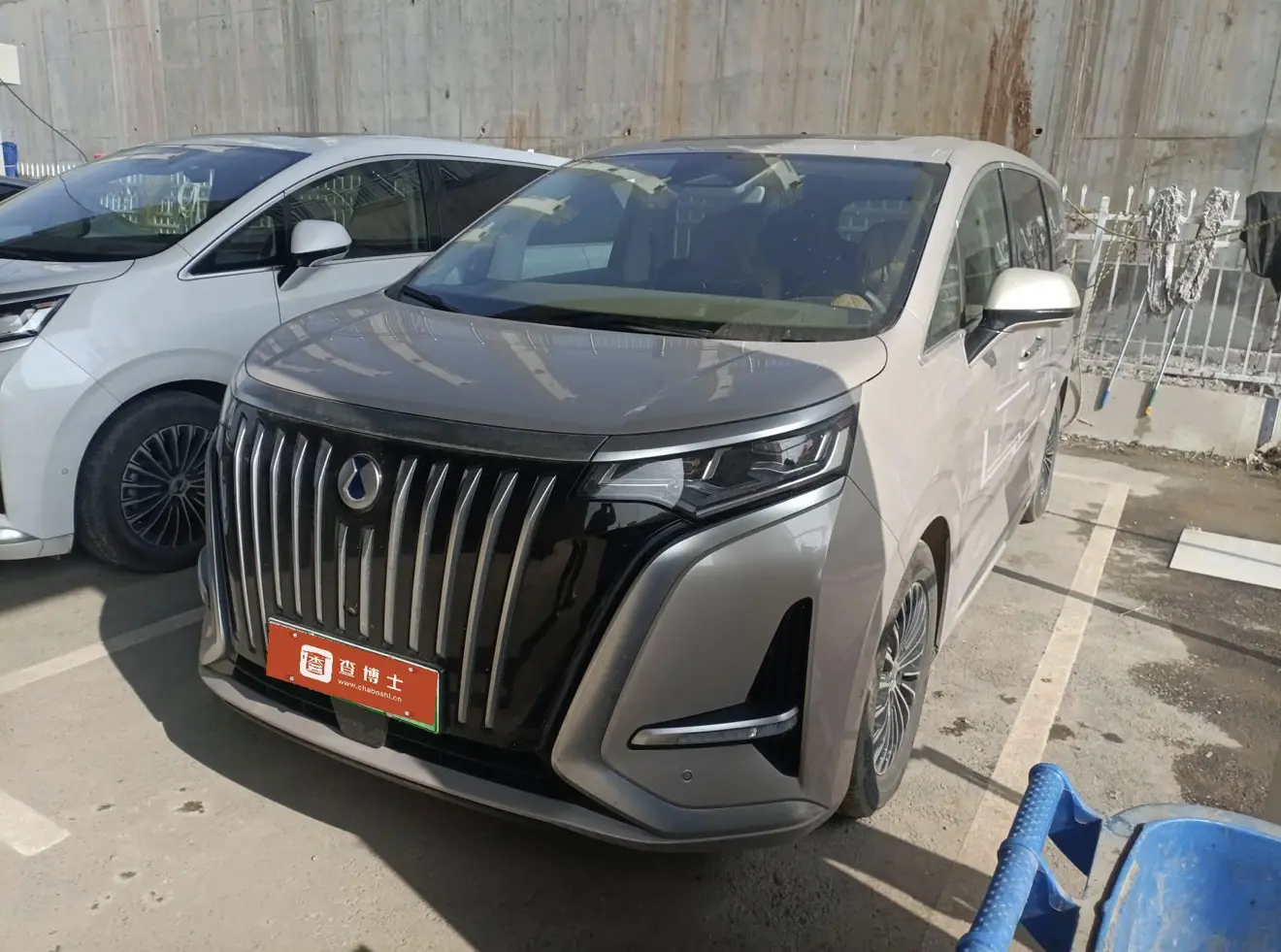 Denza D9 EV  из Китая
