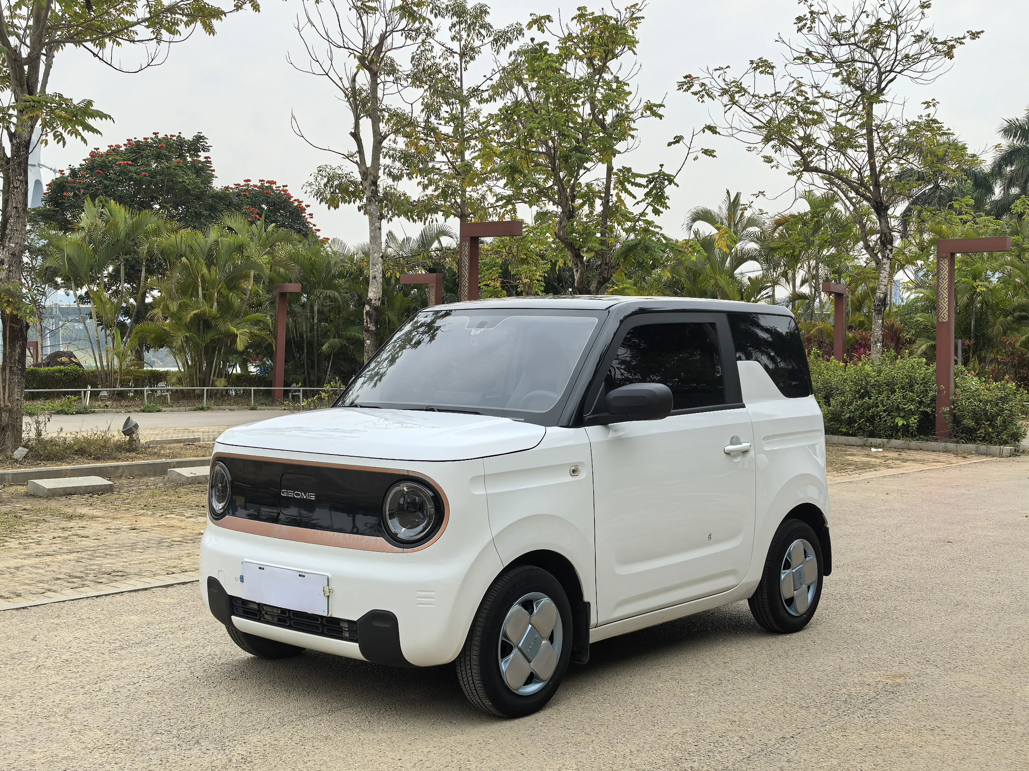 Geely Panda  из Китая