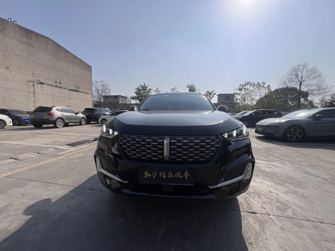 Wey Wei brand VV6  из Китая