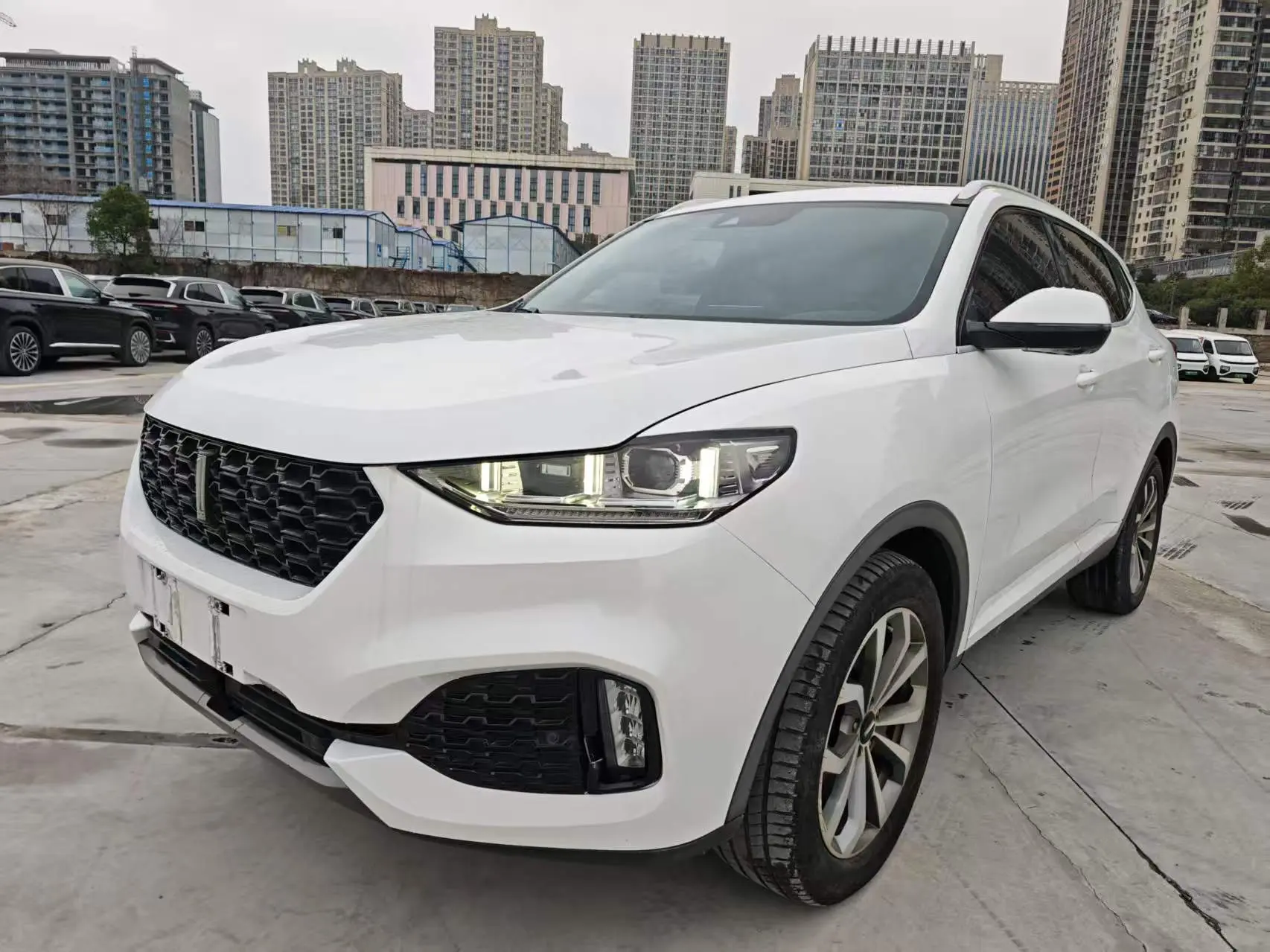 Wey Wei brand VV6  из Китая