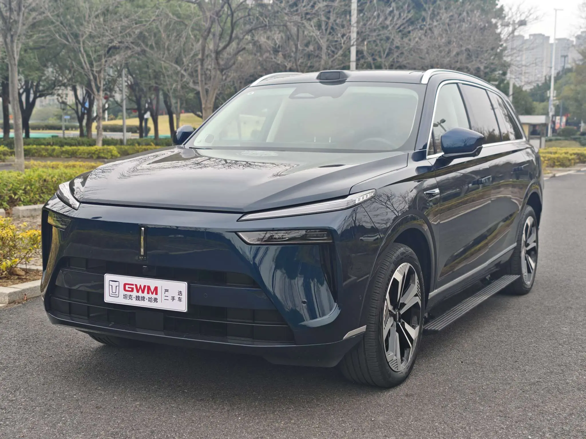 Wey Blue Mountain  из Китая