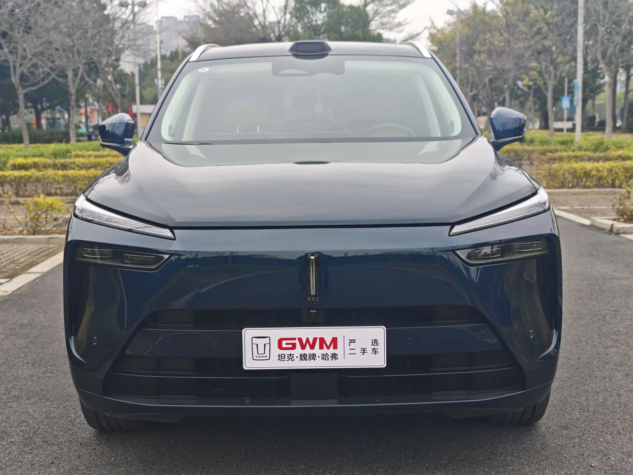 Wey Blue Mountain  из Китая