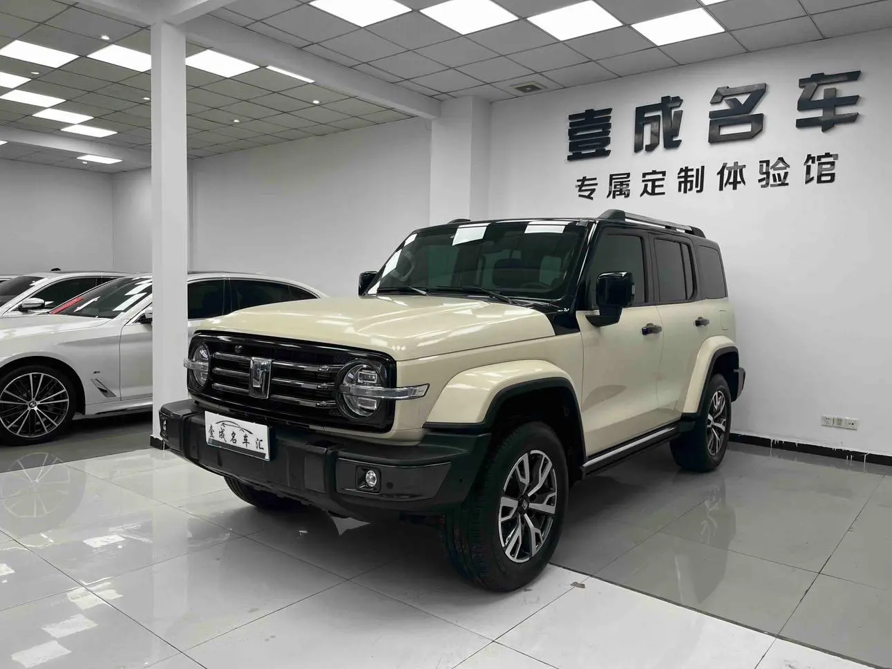 Tank 300  из Китая