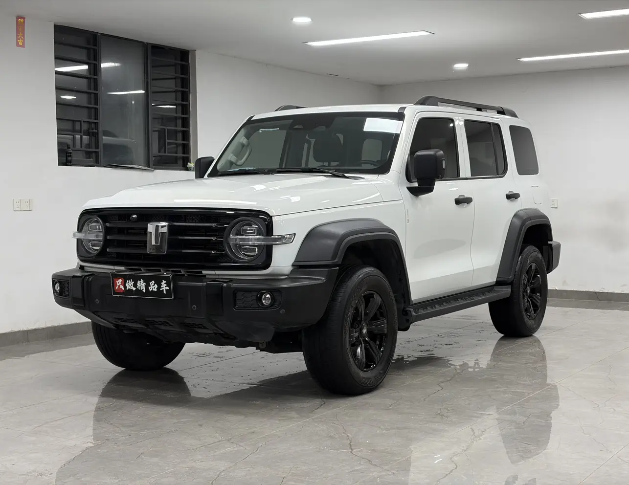 Tank 300  из Китая