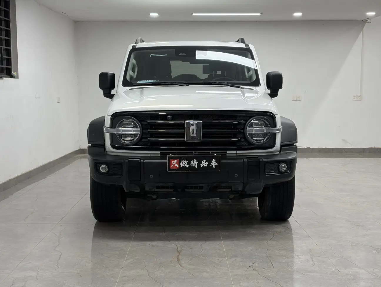 Tank 300  из Китая