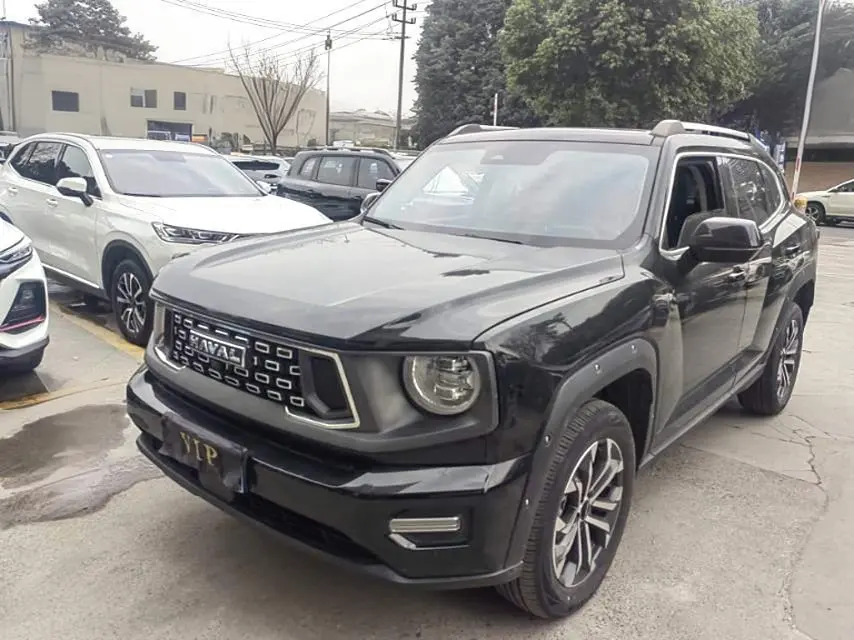 Haval Big Dog PLUS  из Китая