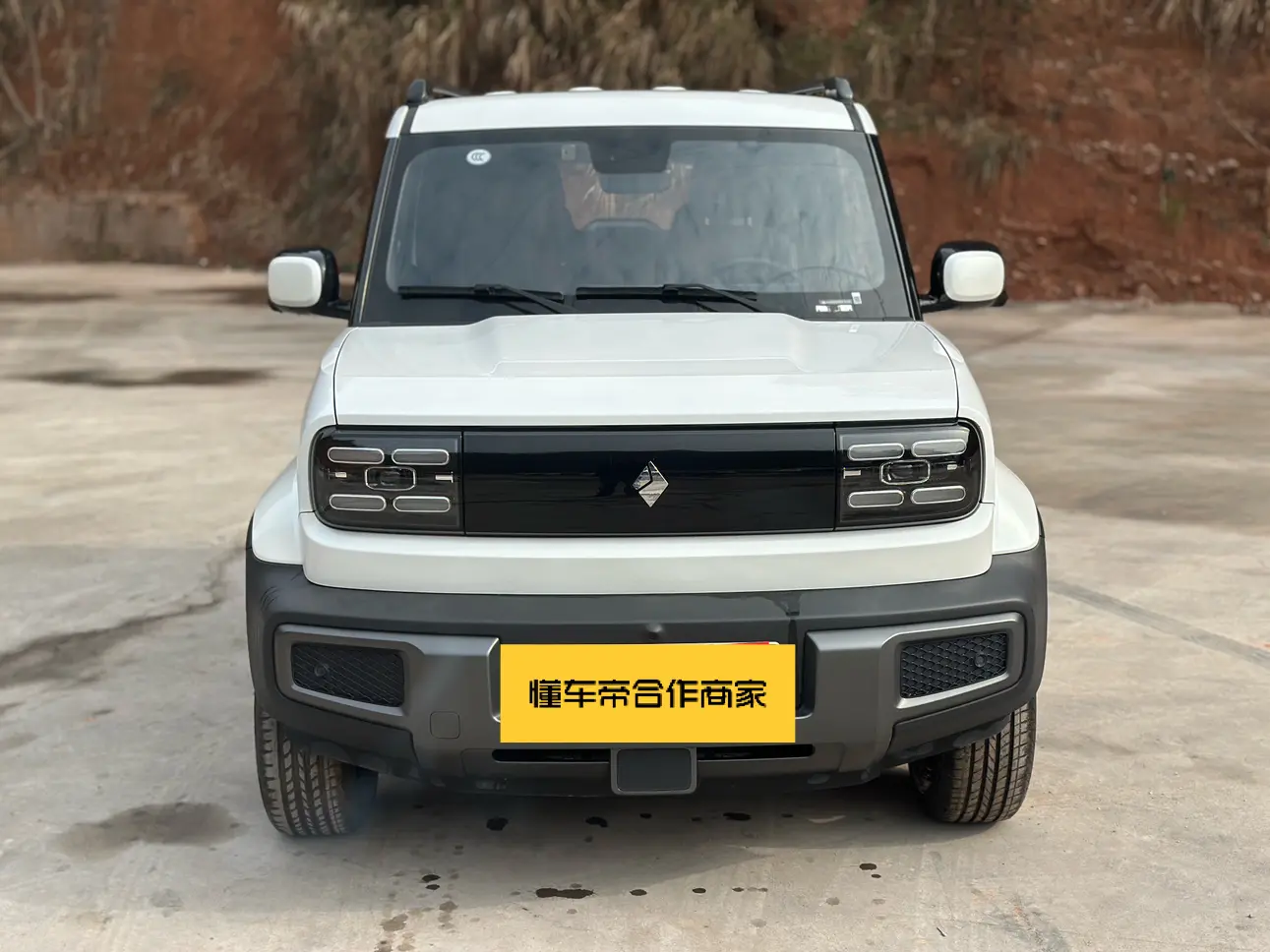 Baojun Yue Ye  из Китая