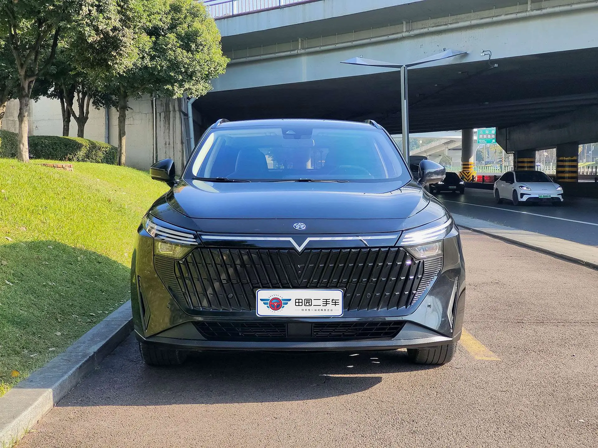 Kai Chen Qichen Big V DD-i  из Китая