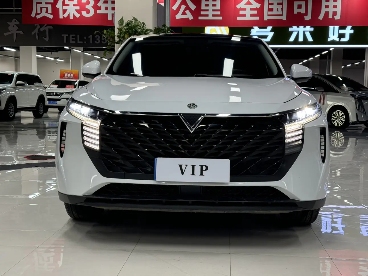 Kai Chen Venucia Big V  из Китая