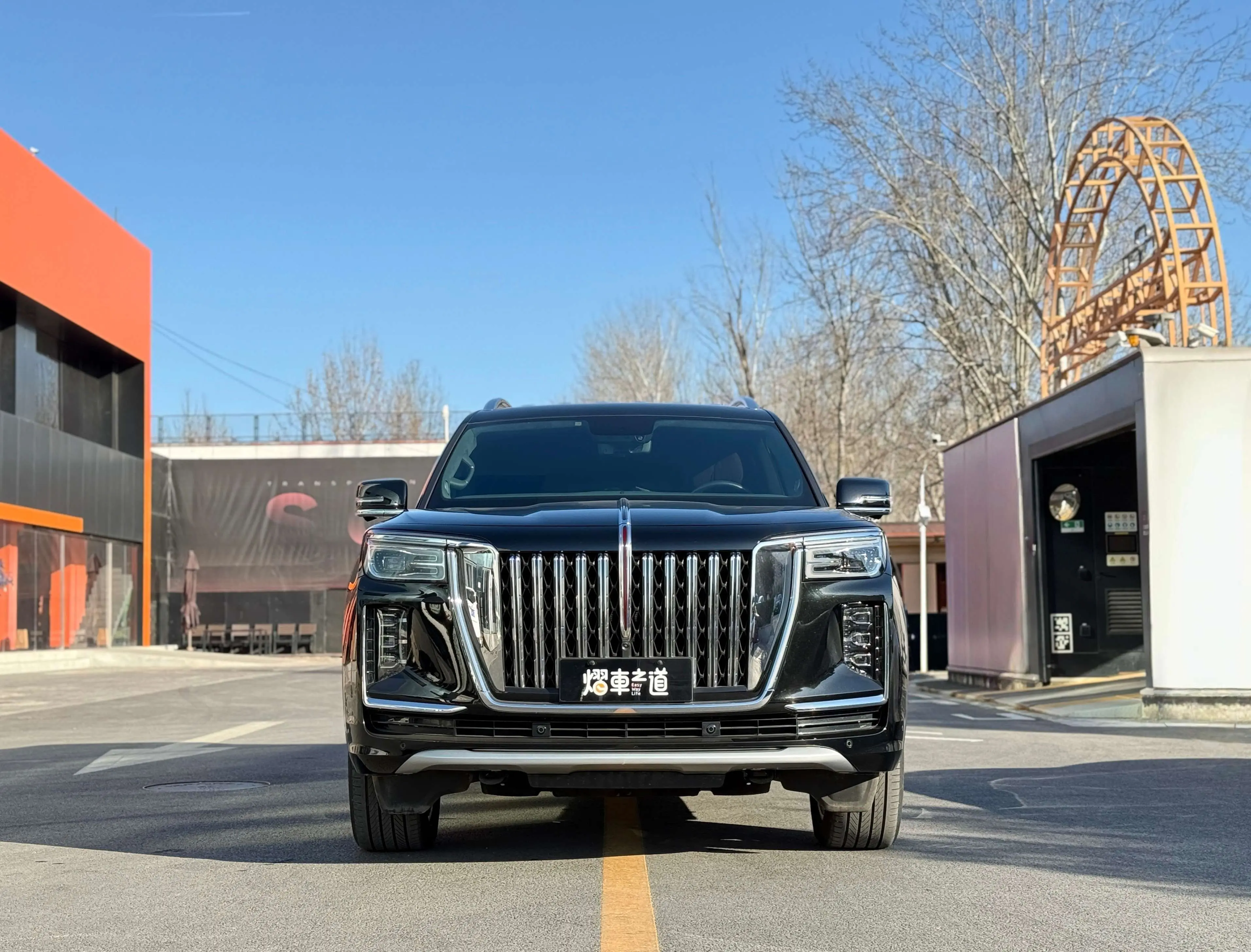 Hongqi Red Flag Golden Sunflower National Glory  из Китая