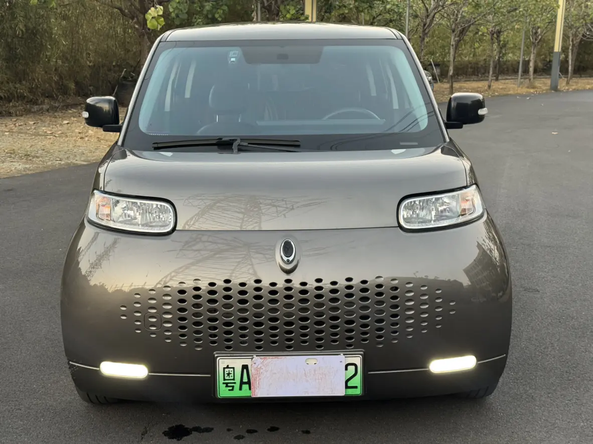 ORA Euler white cat  из Китая