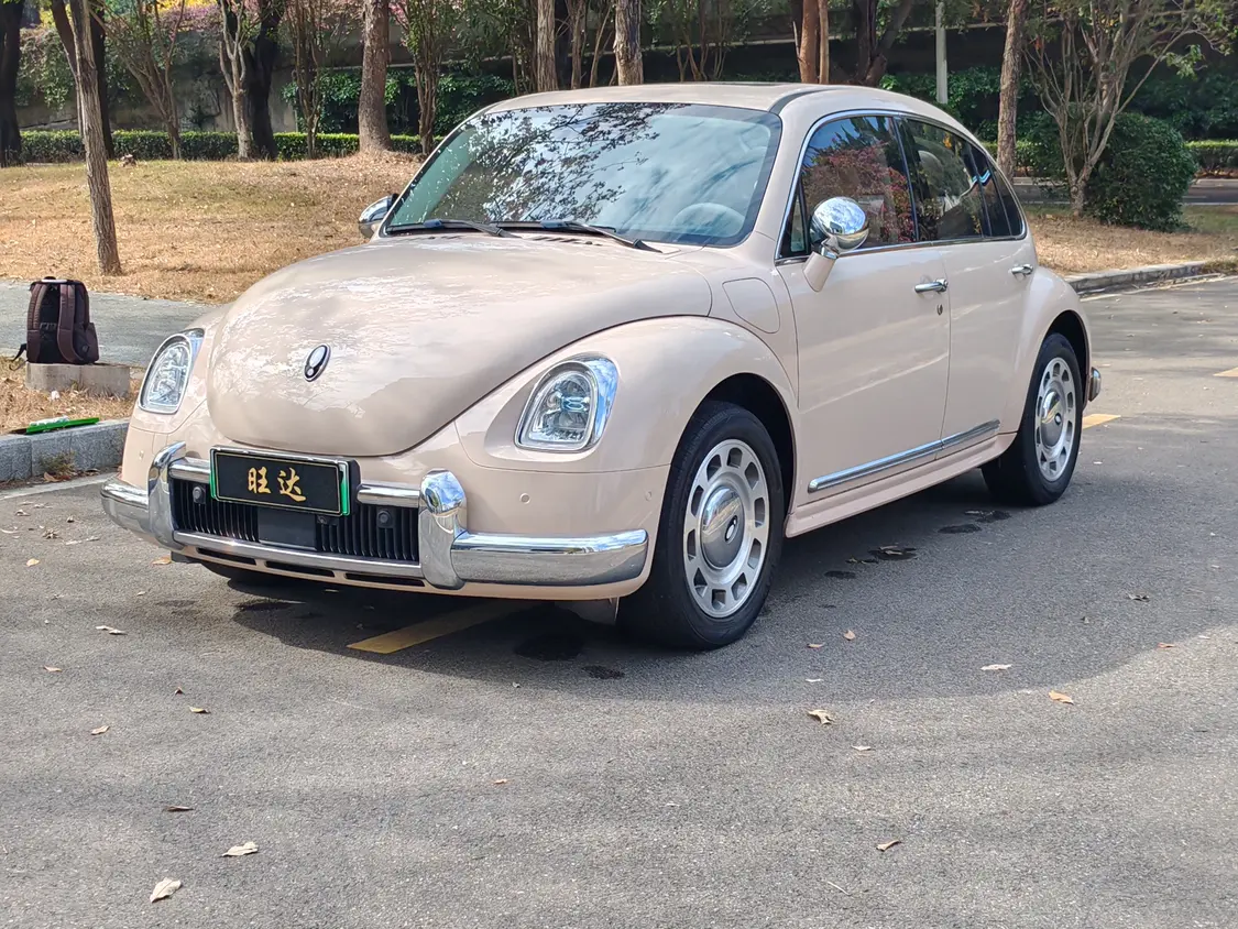 ORA Euler ballet cat  из Китая