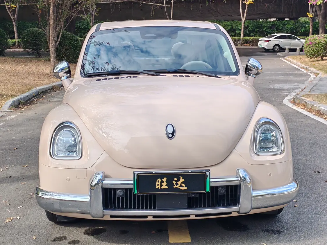 ORA Euler ballet cat  из Китая