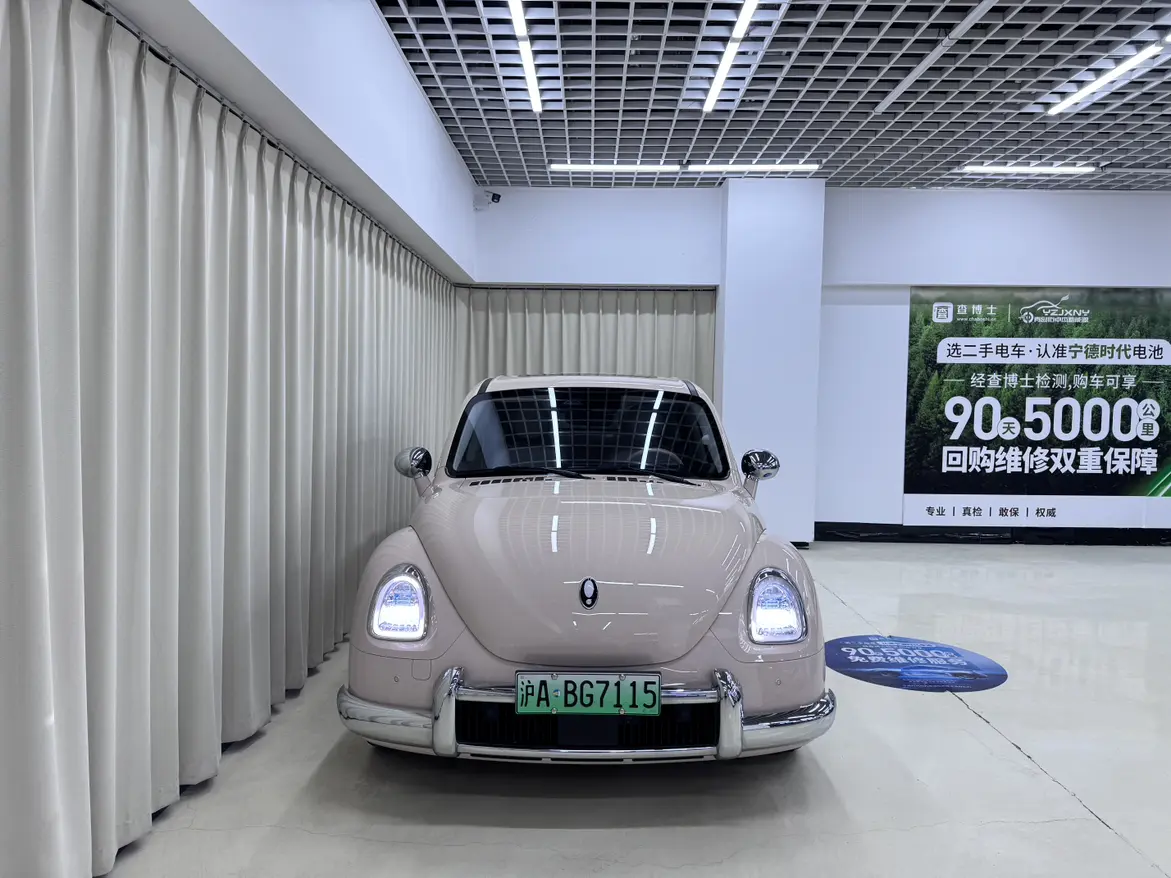 ORA Euler ballet cat  из Китая