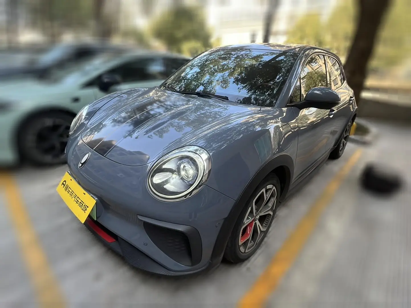 ORA Euler Good Cat GT  из Китая