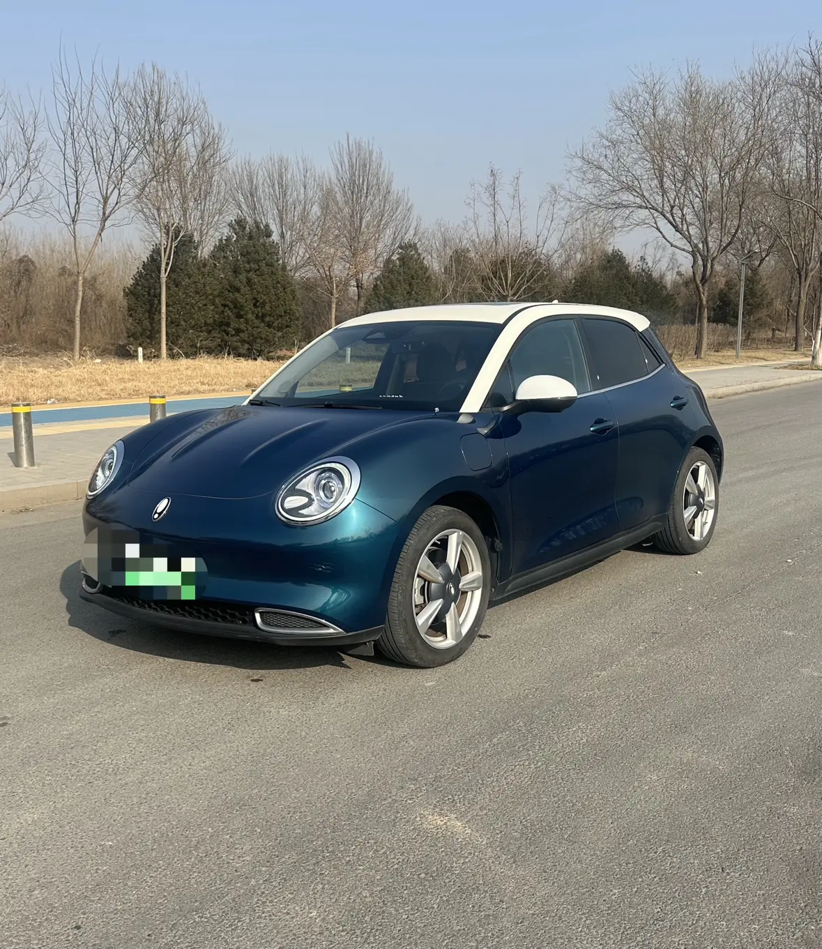 ORA Euler good cat  из Китая