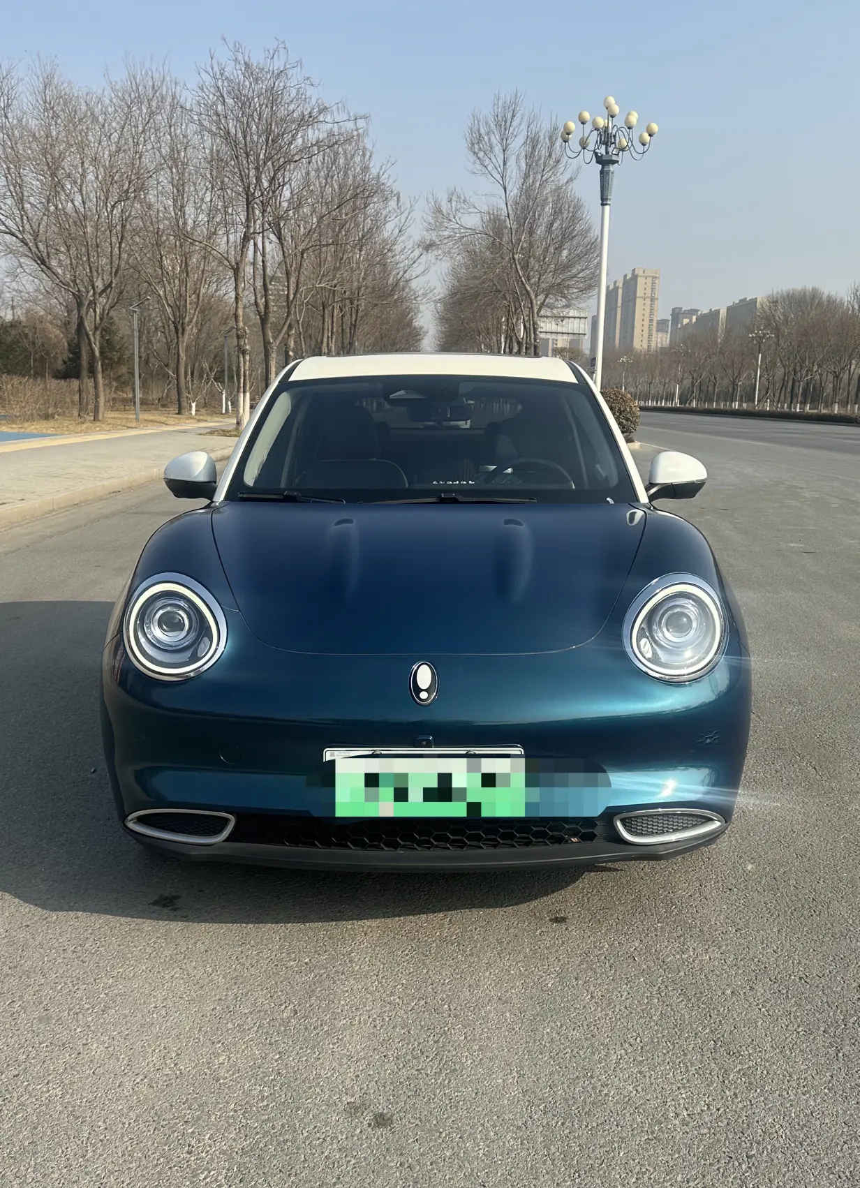 ORA Euler good cat  из Китая