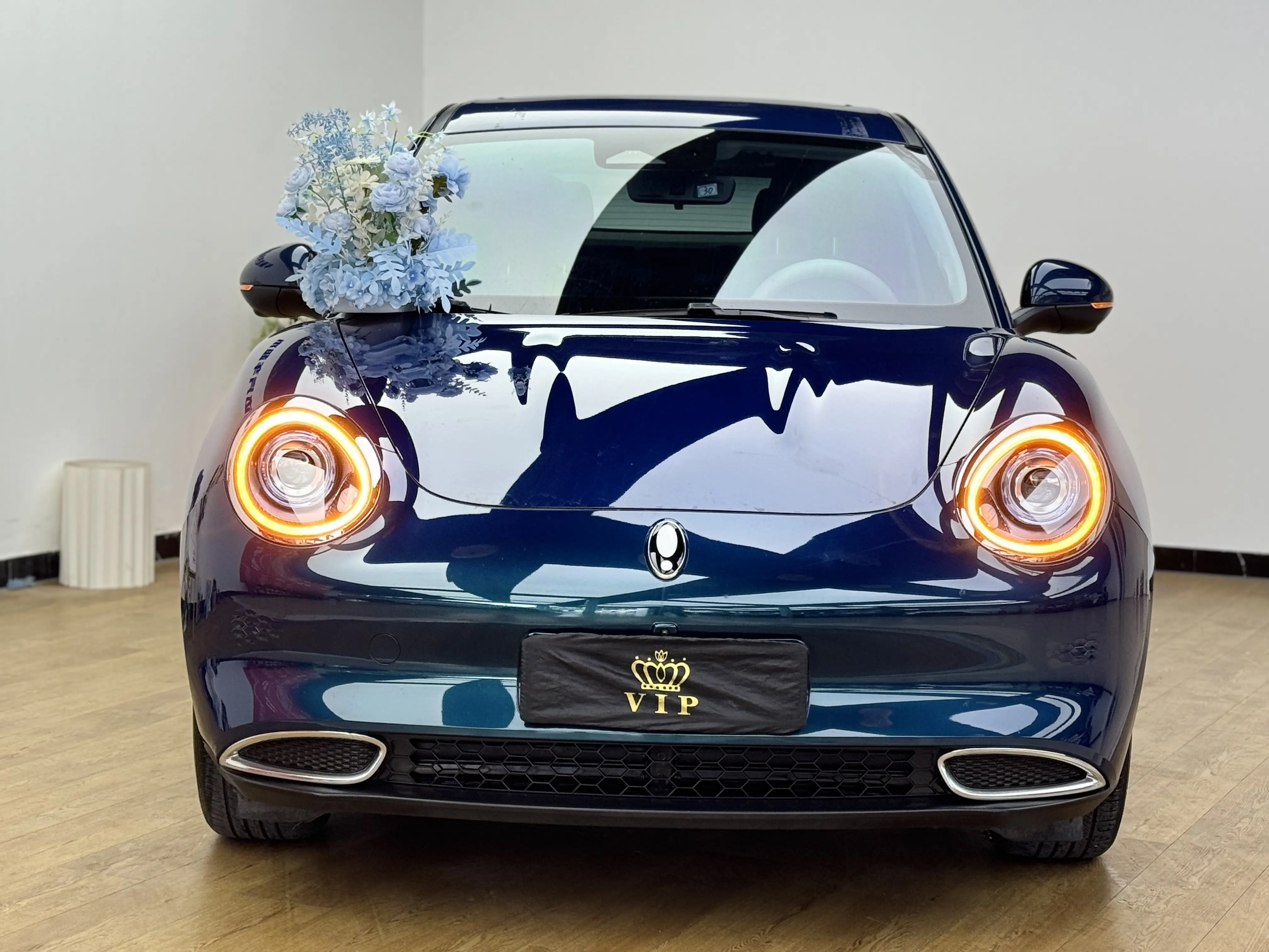 ORA Euler good cat  из Китая