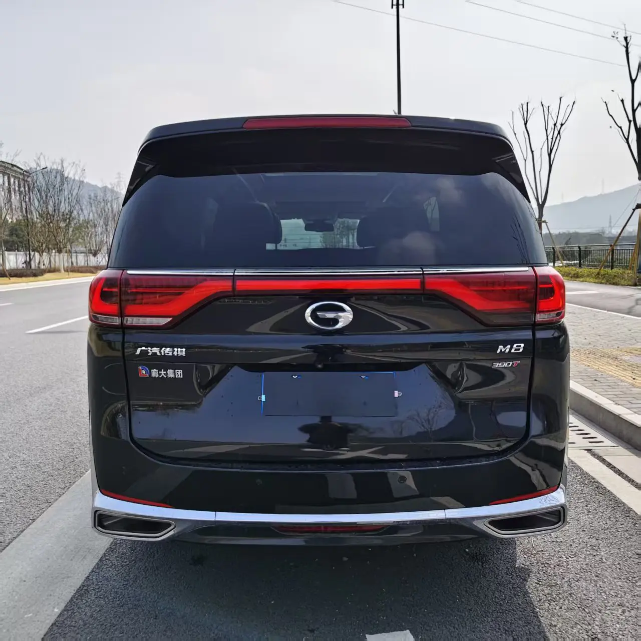 GAC Trumpchi M8  из Китая