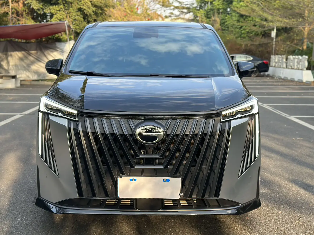 GAC Trumpchi M8  из Китая