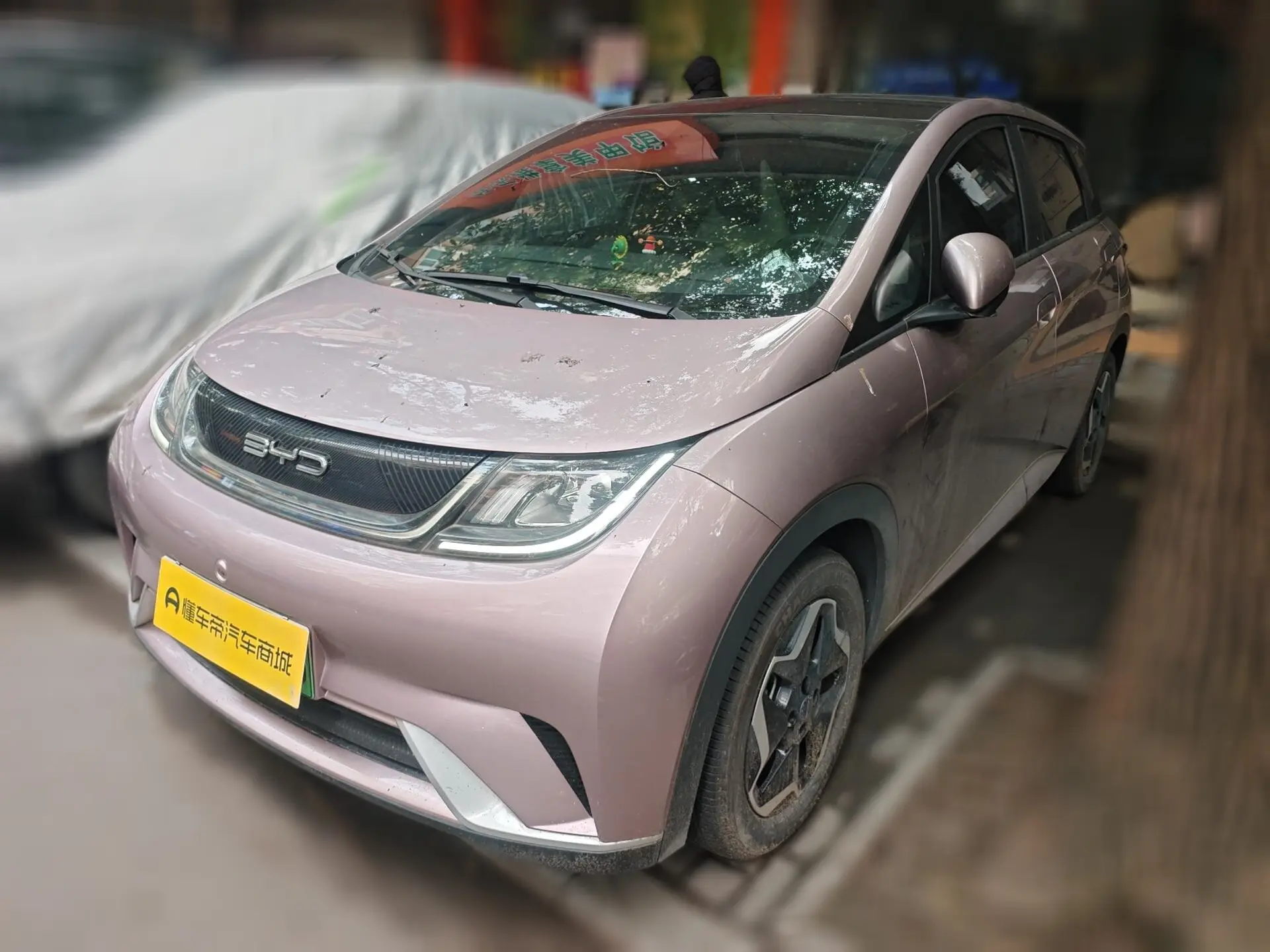 BYD Dolphin  из Китая