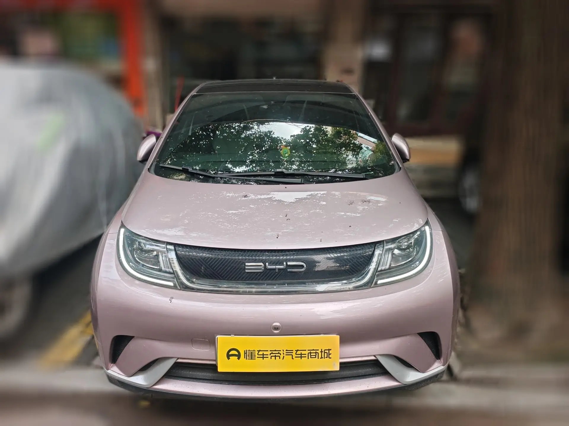 BYD Dolphin  из Китая