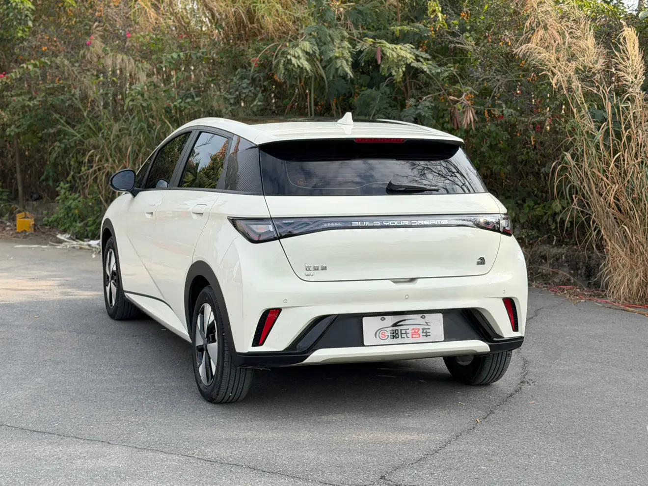 BYD Dolphin  из Китая