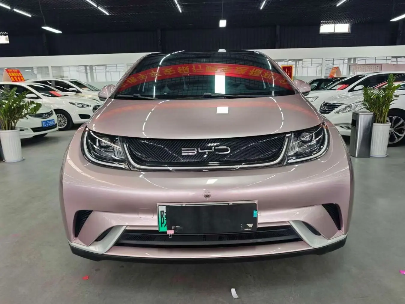 BYD Dolphin  из Китая