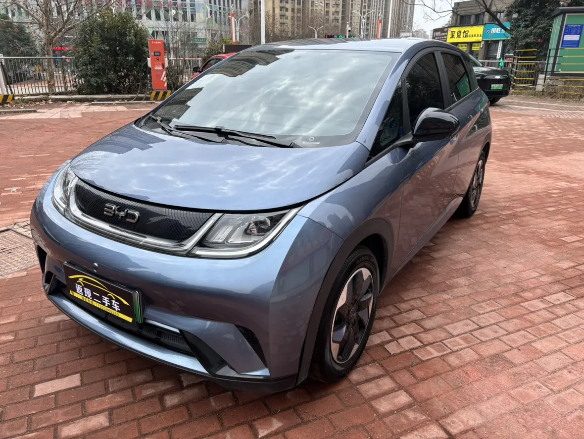 BYD Dolphin  из Китая
