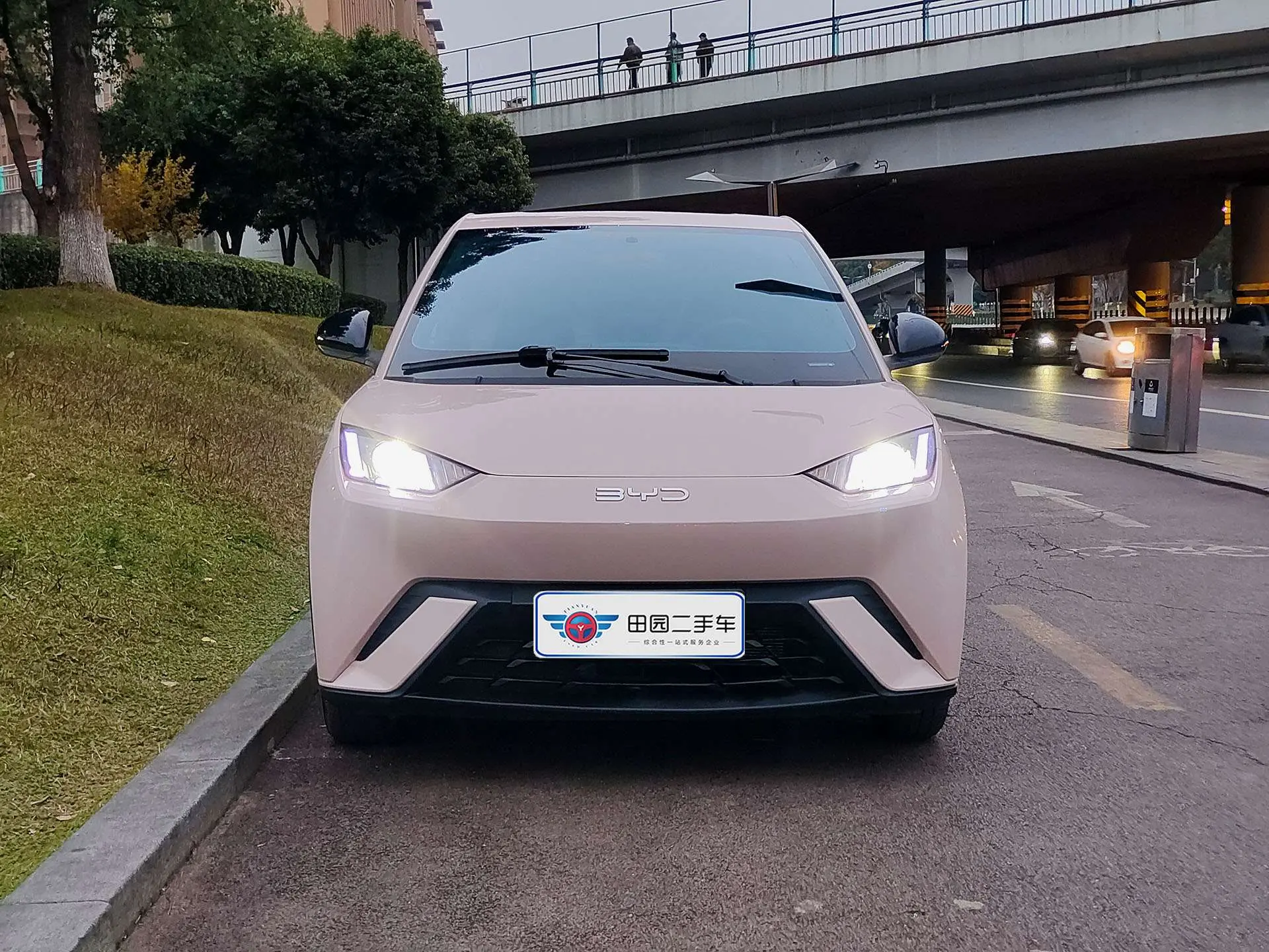 BYD Seagull  из Китая