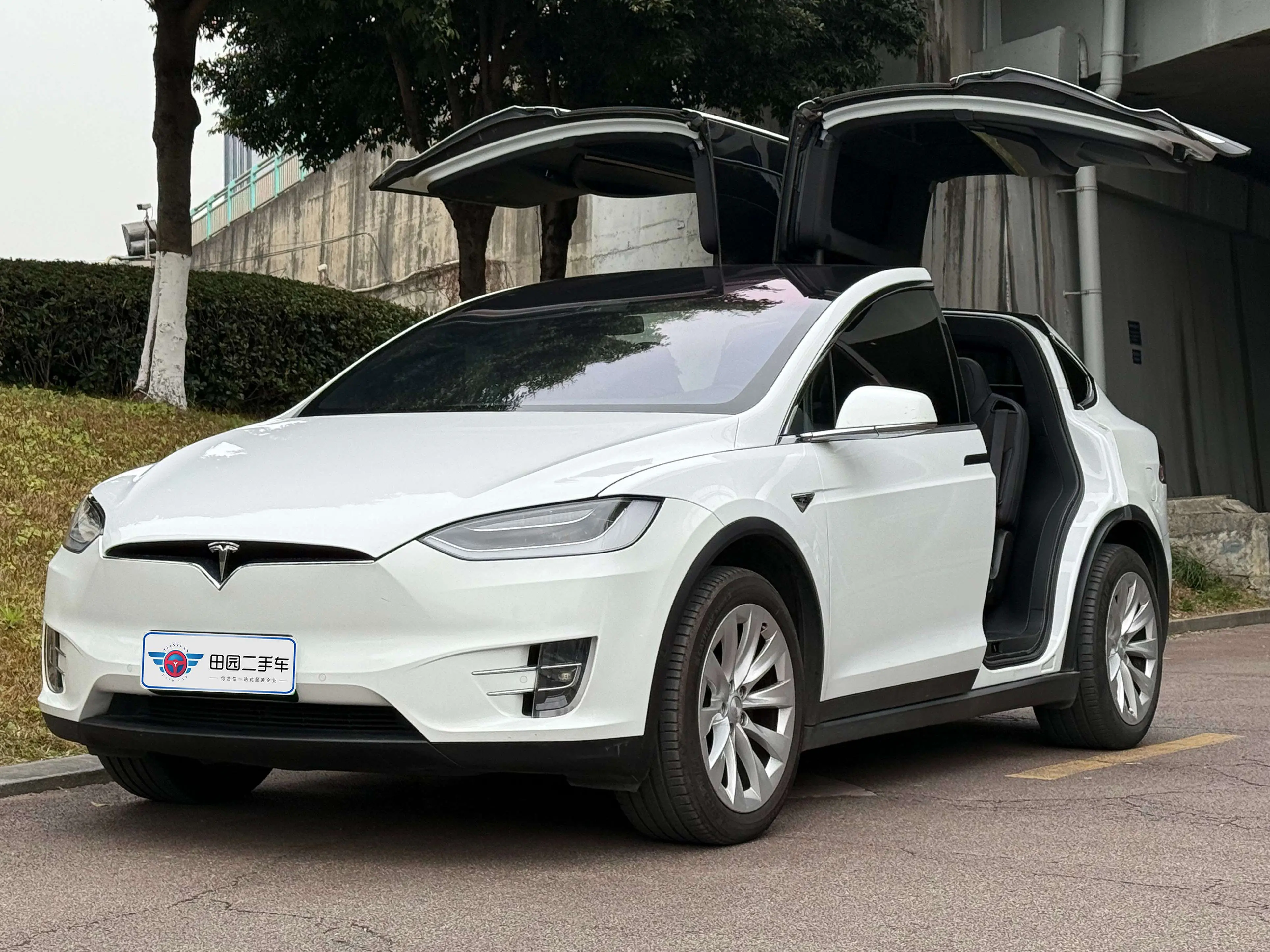 Tesla Model X  из Китая