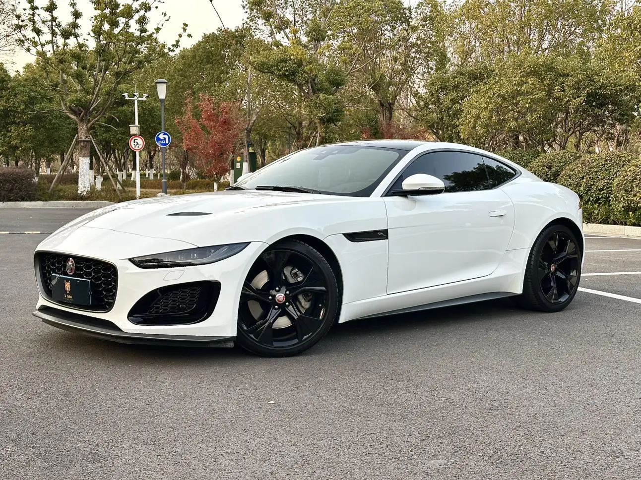 Jaguar F-TYPE  из Китая