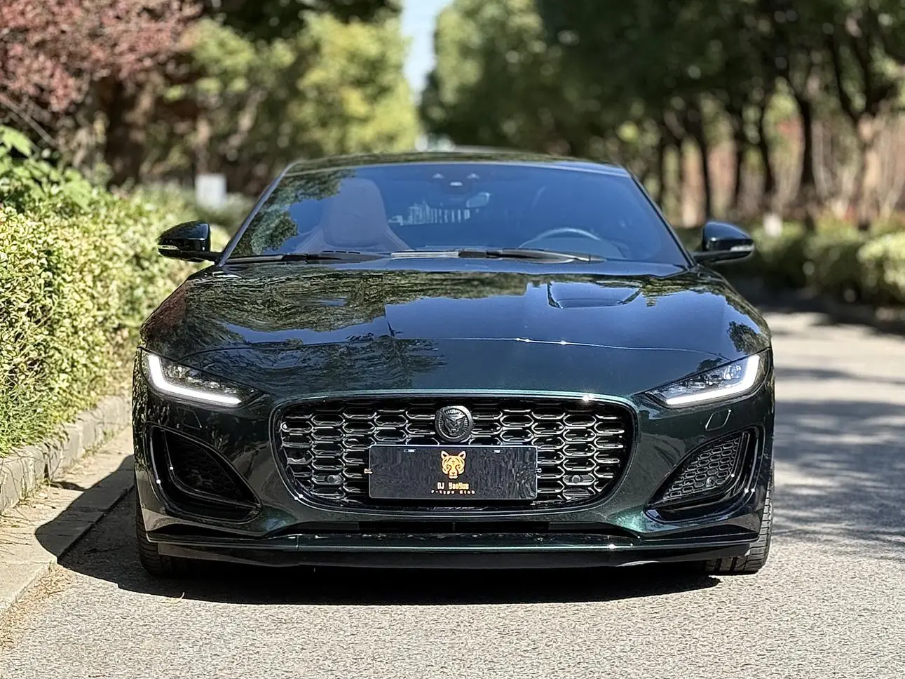 Jaguar F-TYPE  из Китая