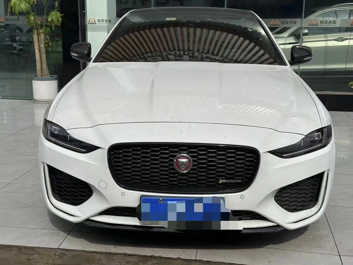 Jaguar XEL  из Китая