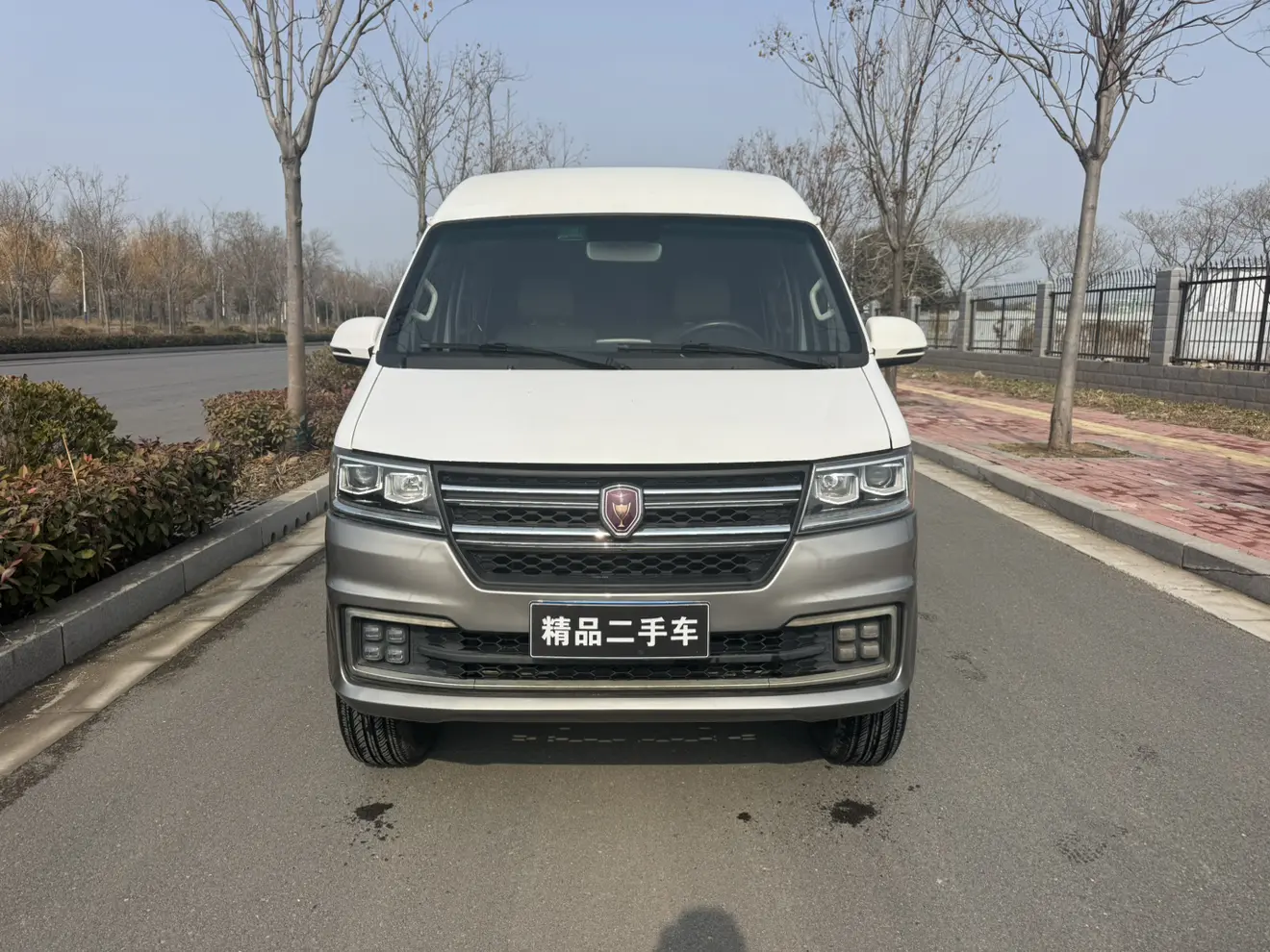 Golden cup New Hiace S  из Китая