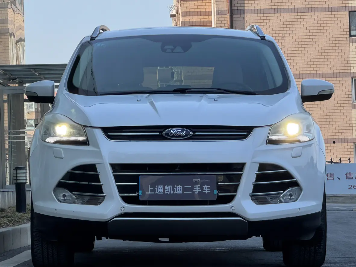 Ford Wing tiger  из Китая