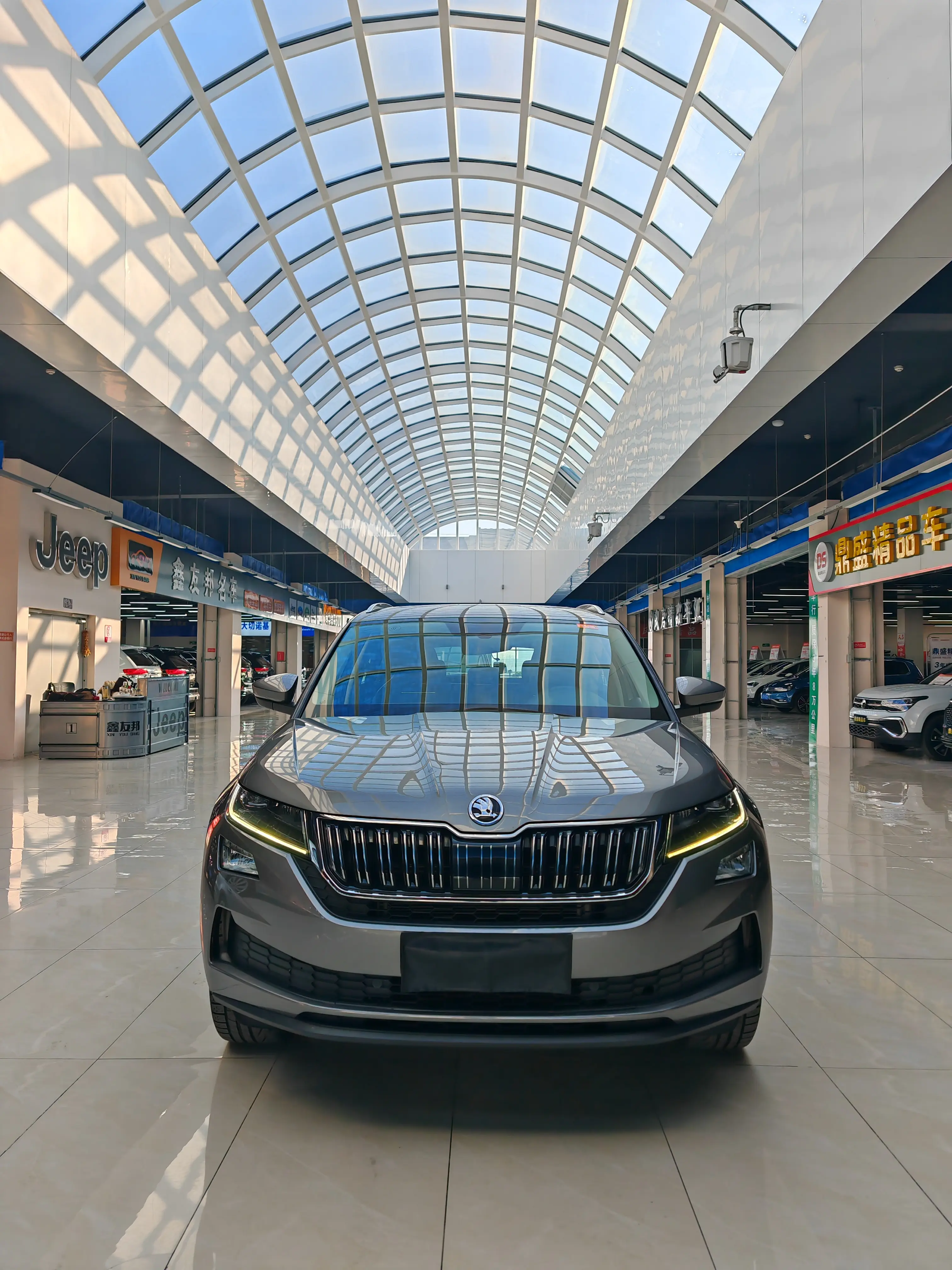 Skoda Kodiak GT  из Китая