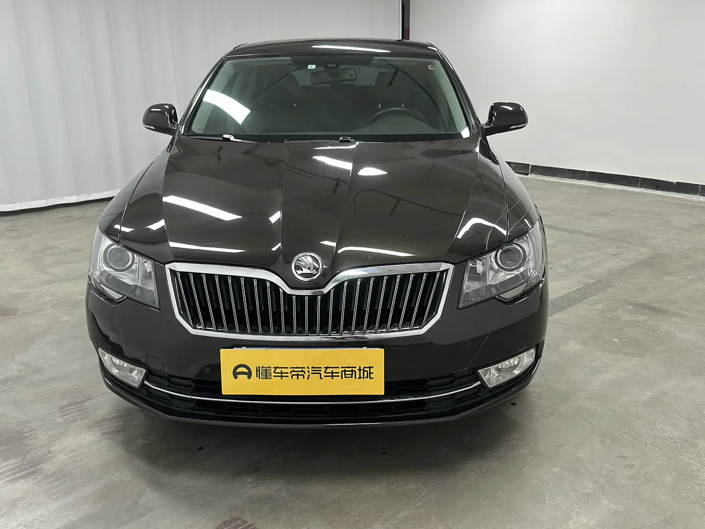 Skoda Speedy  из Китая