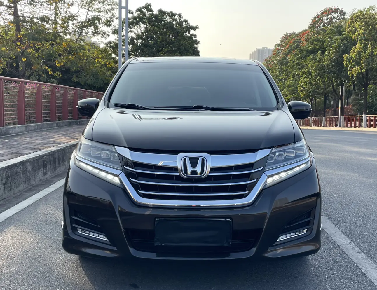 Honda Elysion (Alison)  из Китая